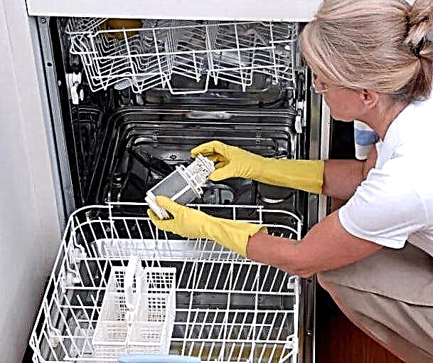 How to clean a dishwasher at home: the best mechanical and chemical methods