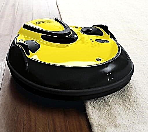 Robots vacuum cleaners Karcher: ranking of popular models
