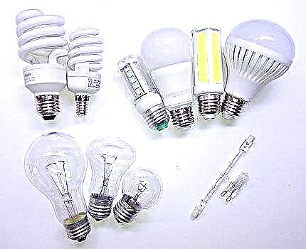 Which bulbs are best for the home: which are + rules for choosing the best bulb
