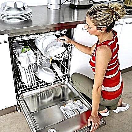 TEN for the Bosch dishwasher: how to choose + replacement instructions