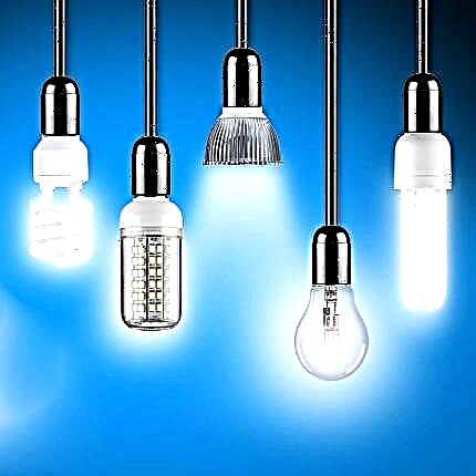 Qué tipos de bombillas existen: una descripción general de los principales tipos de lámparas + reglas para elegir la mejor