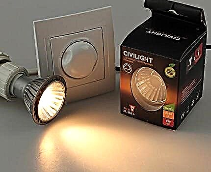 Dimbar LED-glödlampor: urvalstips, en översikt över de bästa tillverkarna