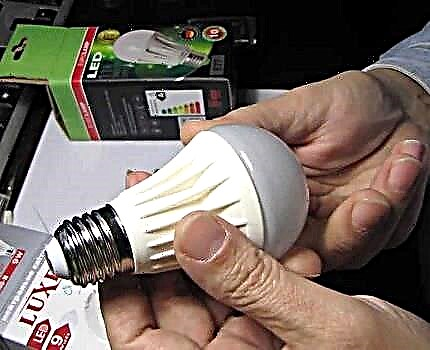 Quais lâmpadas LED são melhores para escolher: tipos, características, escolha + melhores modelos