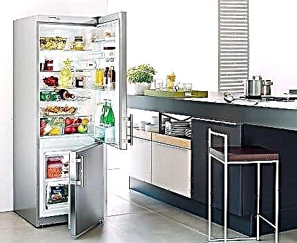 Cómo elegir el mejor refrigerador Nou Frost: 15 mejores modelos + consejos para clientes