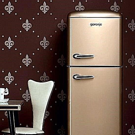 Gorenje Kühlschränke: Überprüfung des Sortiments + worauf vor dem Kauf zu achten ist