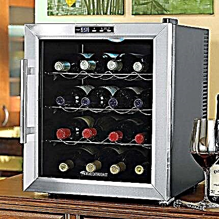 Wine refrigerators: how to choose a wine cooler + the best models and manufacturers