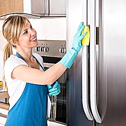 How to wash your refrigerator: an overview of the best care and cleaning products