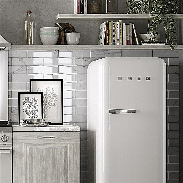 Critique du réfrigérateur SMEG: analyse de la gamme, avis + TOP-5 des meilleurs modèles du marché