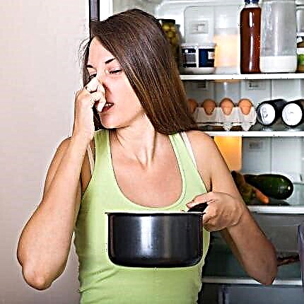 Wie man den Geruch im Kühlschrank loswird: beliebte Methoden, um Gestank loszuwerden
