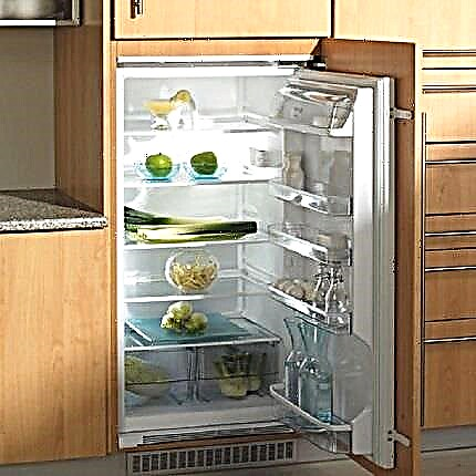 Réfrigérateur sans congélateur: avantages et inconvénients + revue des 12 meilleurs modèles