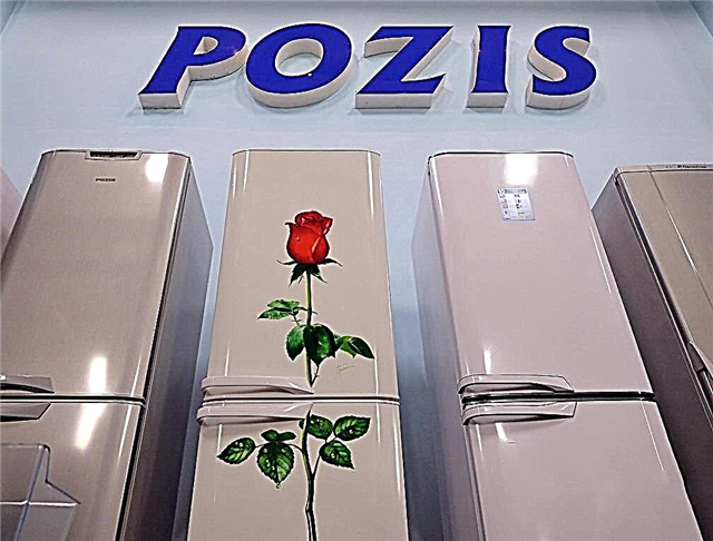 Pozis Kühlschränke: Bewertung der 5 besten Modelle des russischen Herstellers