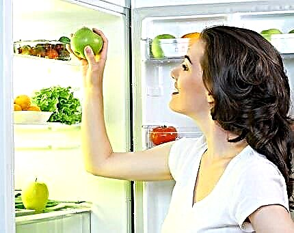 What temperature should be in the refrigerator and in the freezer: standards and norms
