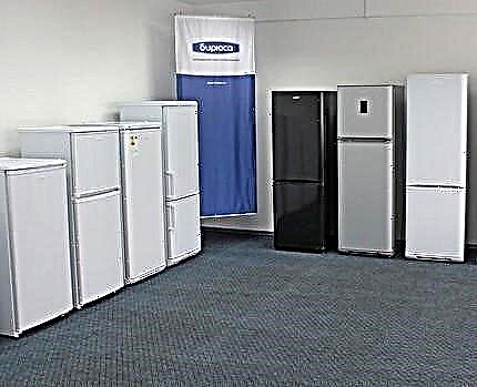 Aperçu des réfrigérateurs Biryusa: classement des meilleurs modèles + comparaison avec d'autres marques