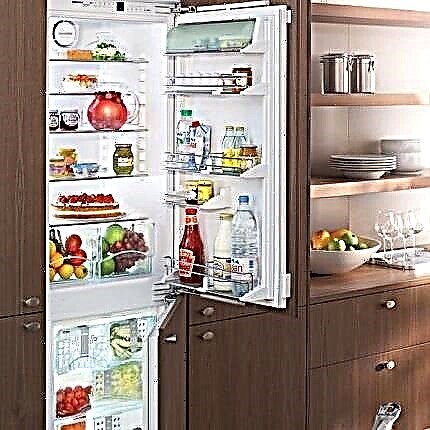 Hvordan tine et kjøleskap raskt og riktig: trinnvise instruksjoner