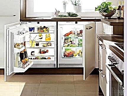Mini-refrigerators: which is better to choose + an overview of the best models and brands