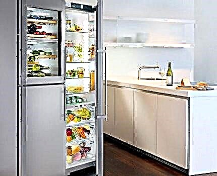 Réfrigérateurs Liebherr: les 7 meilleurs modèles + avis des fabricants