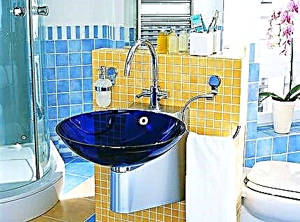 Stakleni sudoperi za kupaonicu: vrste, prednosti i nedostaci, pregled najboljih proizvođača