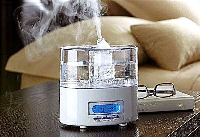 How does an air humidifier work: device, principle of operation and types of devices