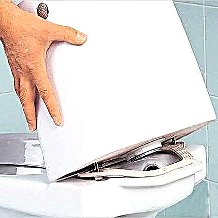 Meletakkan antara tangki dan tandas: jenis, tujuan, ciri pemasangan