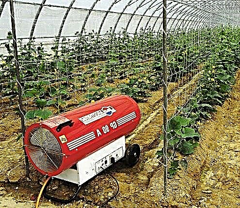 Do-it-yourself greenhouse heating system: the best ways to winter heat greenhouses