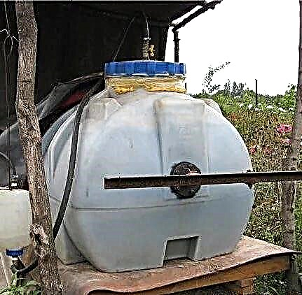 Biogasanlage für ein Privathaus: Empfehlungen für die Anordnung von hausgemachten