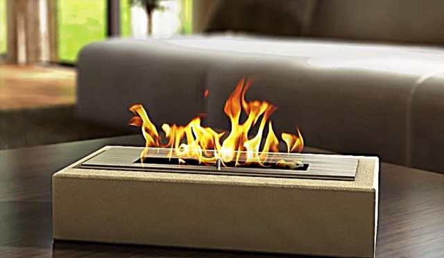 Fireplaces on biofuel: device, types and principle of action of bio-fireplaces