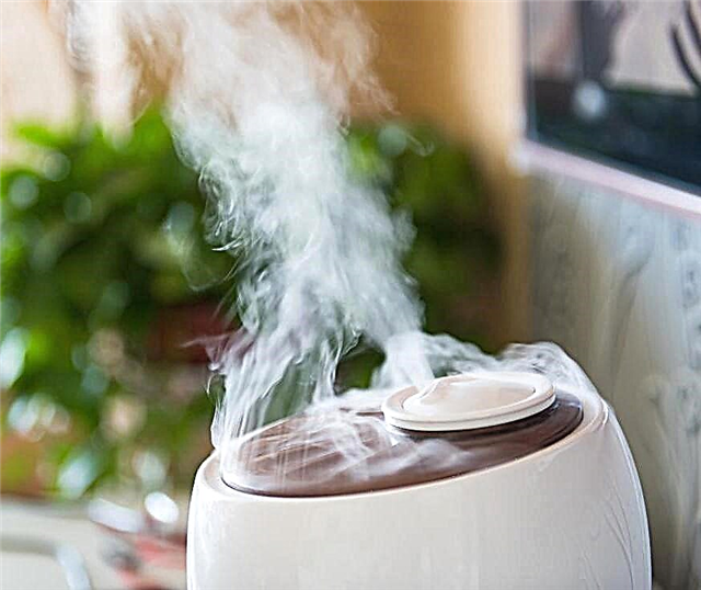 How to choose an ultrasonic humidifier: what to look at before buying?