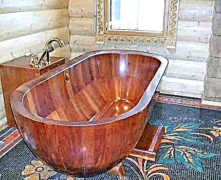 Badezimmer in einem Holzhaus: die Regeln der Anordnung und Merkmale der Dekoration