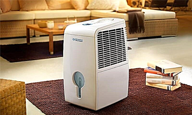 How to choose a fan heater: what parameters to navigate when choosing equipment