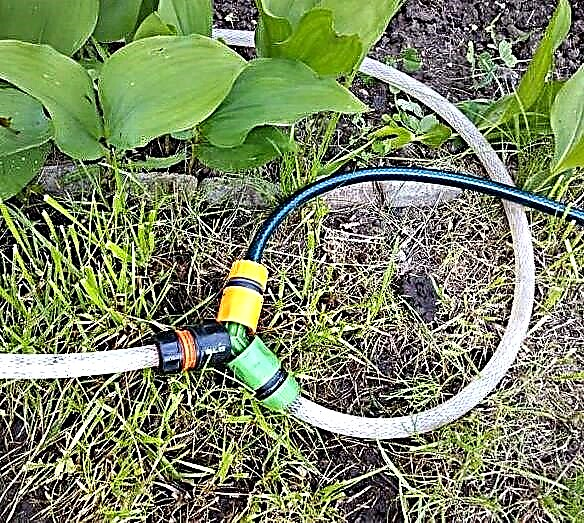 Pipe for drip irrigation: what to look for when choosing + rules for working with it