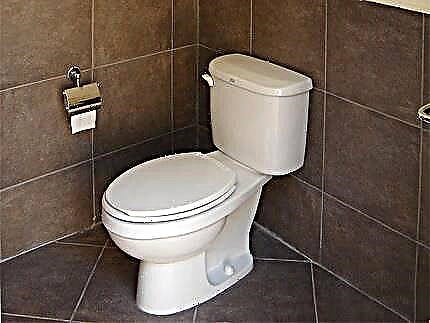 How to eliminate a leak in the toilet: determining the cause of the leak and how to fix it