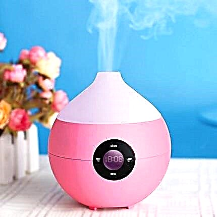 How to choose a humidifier for an apartment: which humidifier is better and why