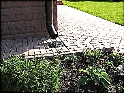 Do-it-yourself storm water drain: all about the installation of a storm shower for a summer house and a private house