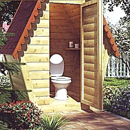 Country toilet: an overview of the types of garden models for a country toilet and the features of their installation