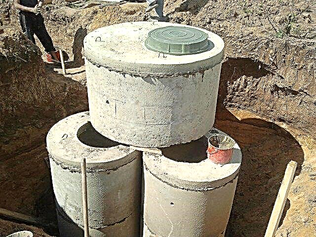 Do-it-yourself septic tank without pumping and odor: simple solutions for your garden