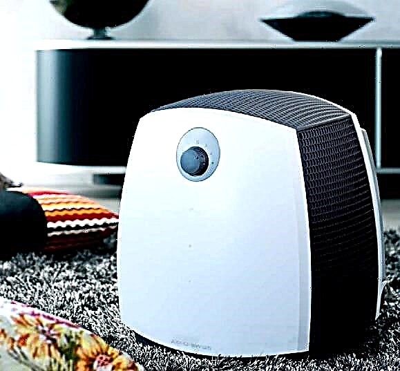 How to choose an air purifier for an apartment: classification of models and an overview of the best manufacturers