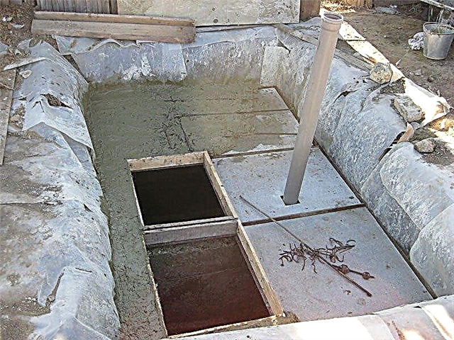 Doe-het-zelf monolithische betonnen septic tank: schema's en regels voor het plaatsen van een betonnen septic tank