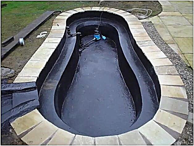 Waterproofing kolam renang sendiri: ikhtisar teknologi + contoh kerja langkah demi langkah