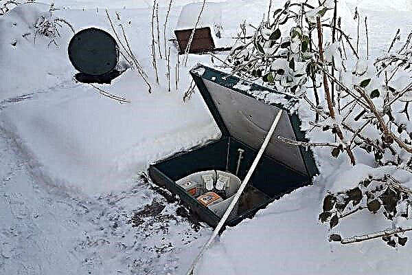 كيف يتم خدمة خزان التوباس توباس في فصل الشتاء