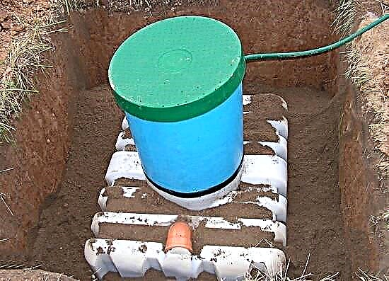 Overview of the septic tank for giving “Tank”: how it works, advantages and disadvantages of the system