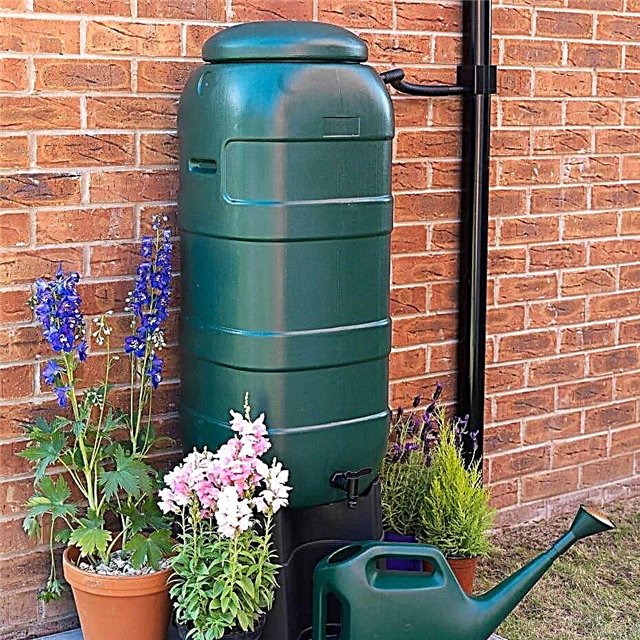 Система за събиране на дъждовна вода и опции за използване на дъждовна вода в къщата